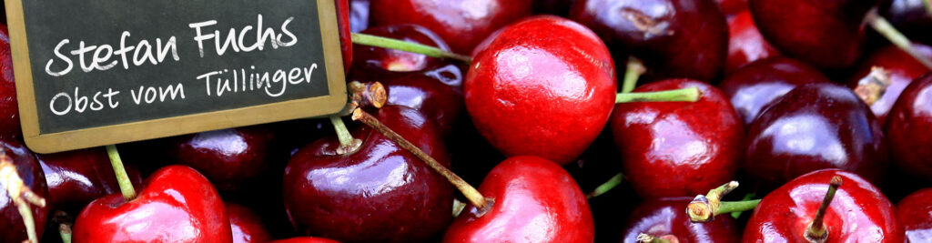 alt von media und text